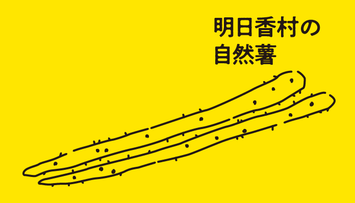 明日香村の自然薯